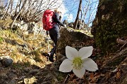 Sentiero partigiano 'Martiri della libert脿' Cornalba-Baita Cascinetto ad anello (21 genn. 2019)- FOTOGALLERY